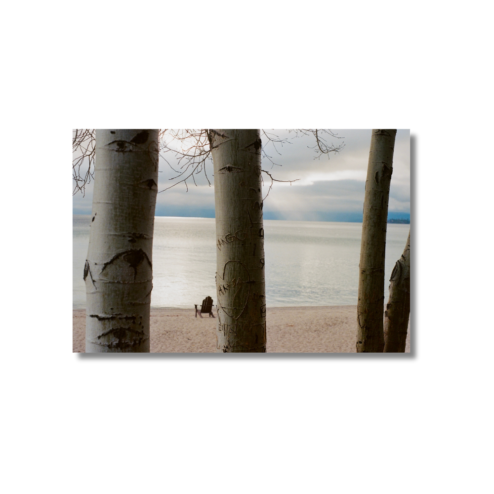 The Timeless Appeal of Black and White Metal Prints