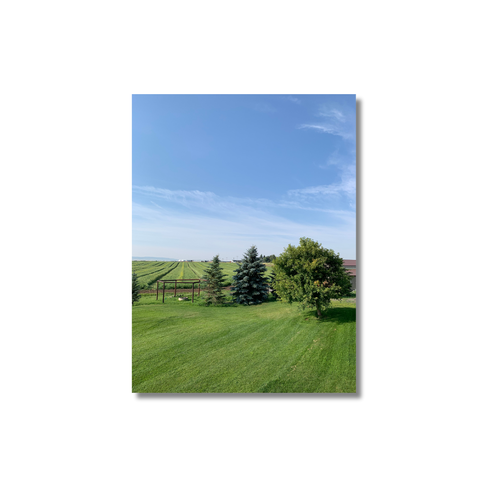 Why Metal Prints Are the Future of Wall Art and Photo Printing