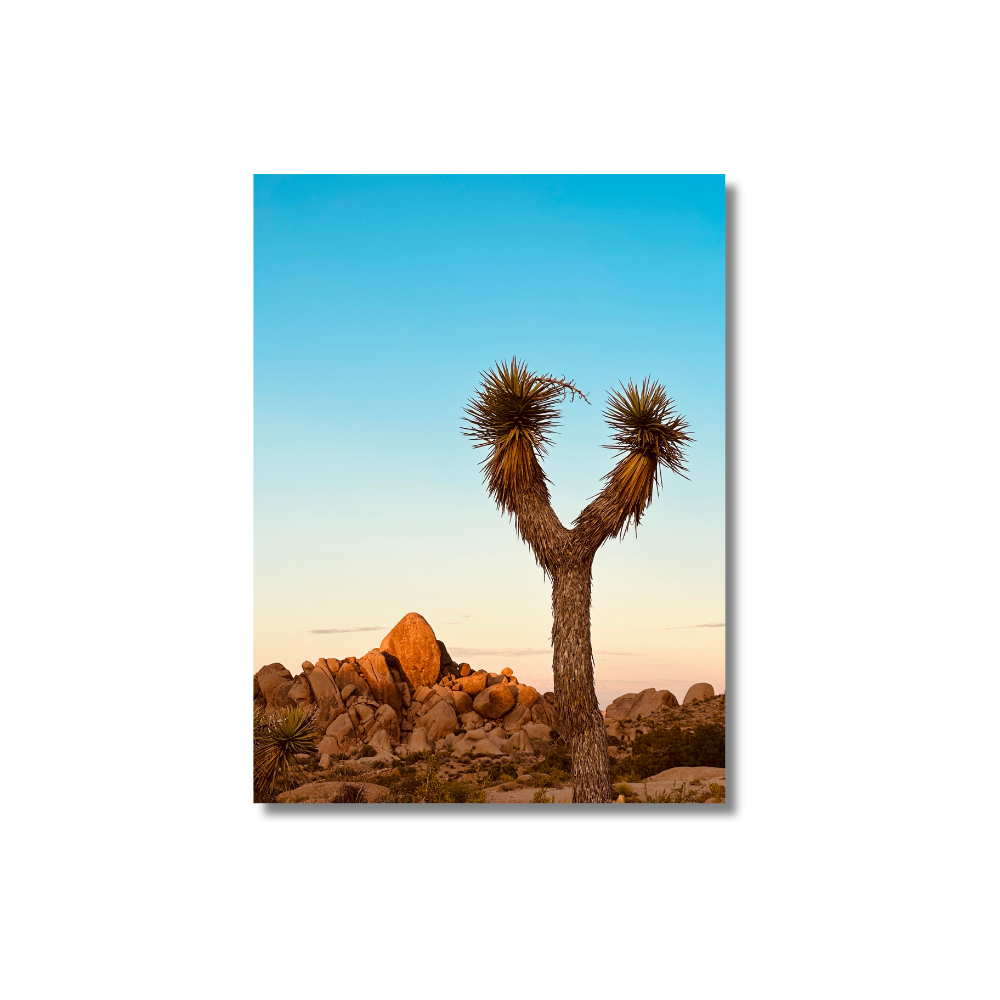 The Complete Guide to Metal Prints