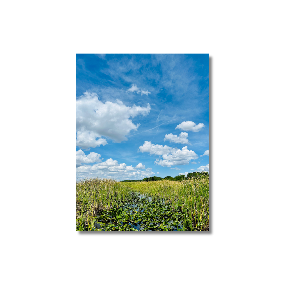 A Guide to Using Metal Prints in Home Decor